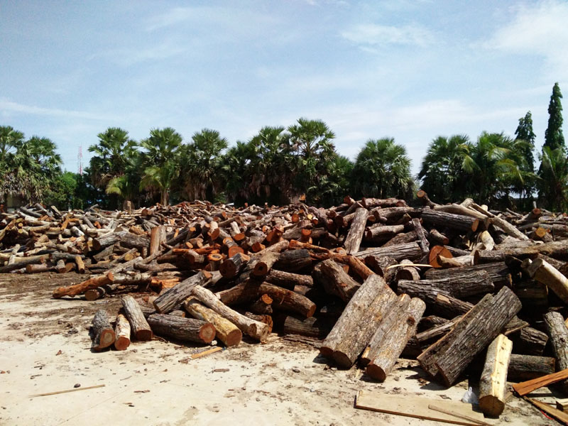 heavy-duty wood chipper in Cambodia